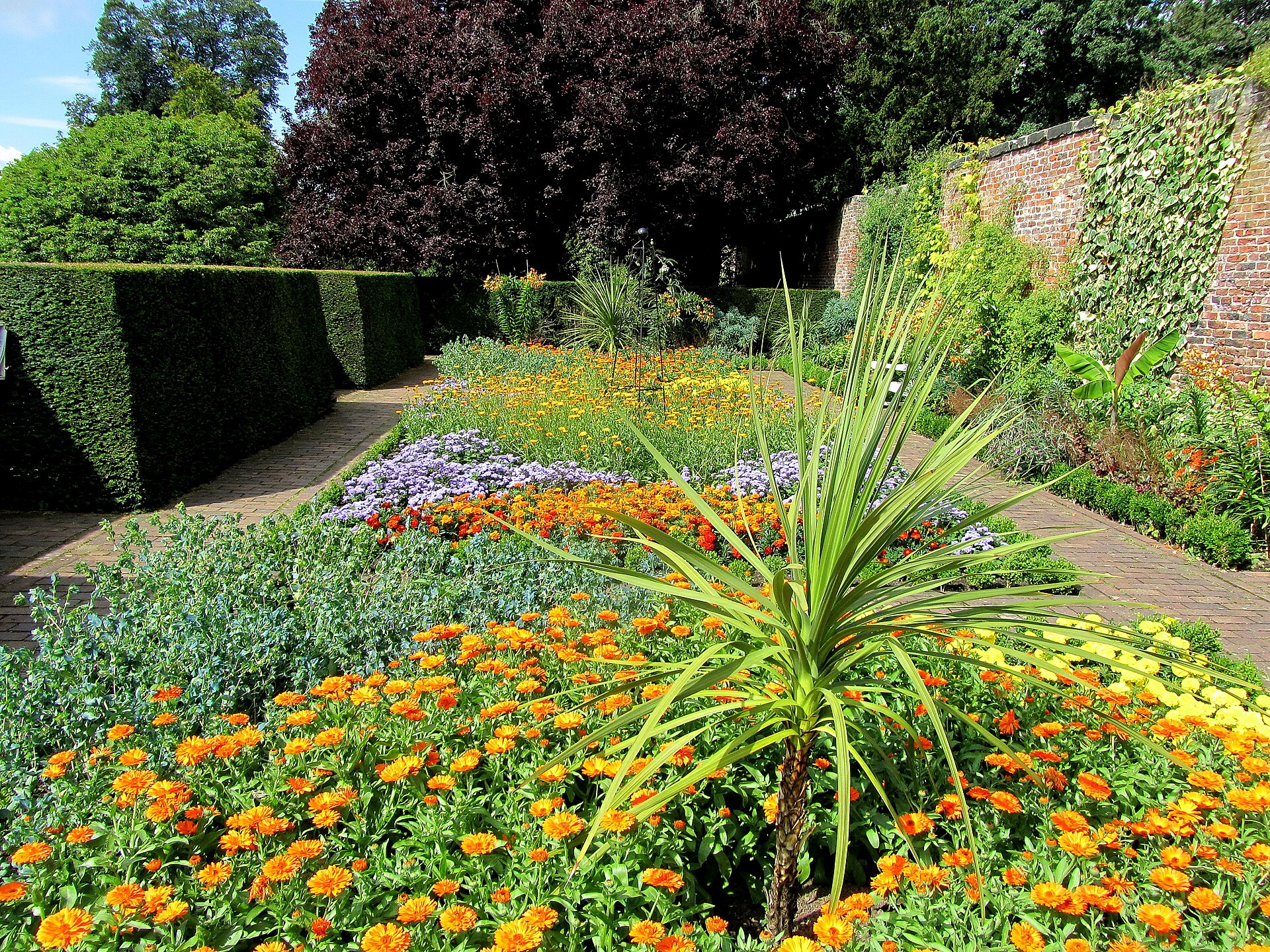 Flower Bed at Beningbrough Hall   geograph.org.uk   3605154