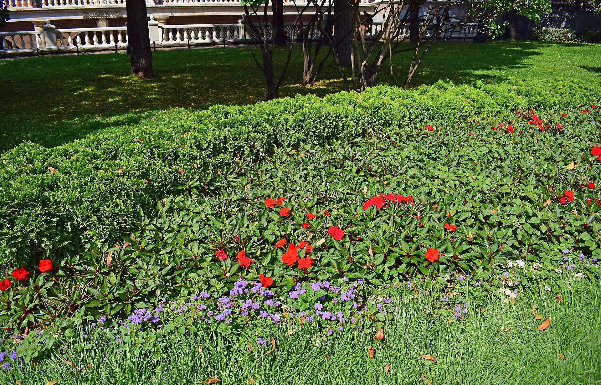 Moscow   Flower bed in the Alexander Garden