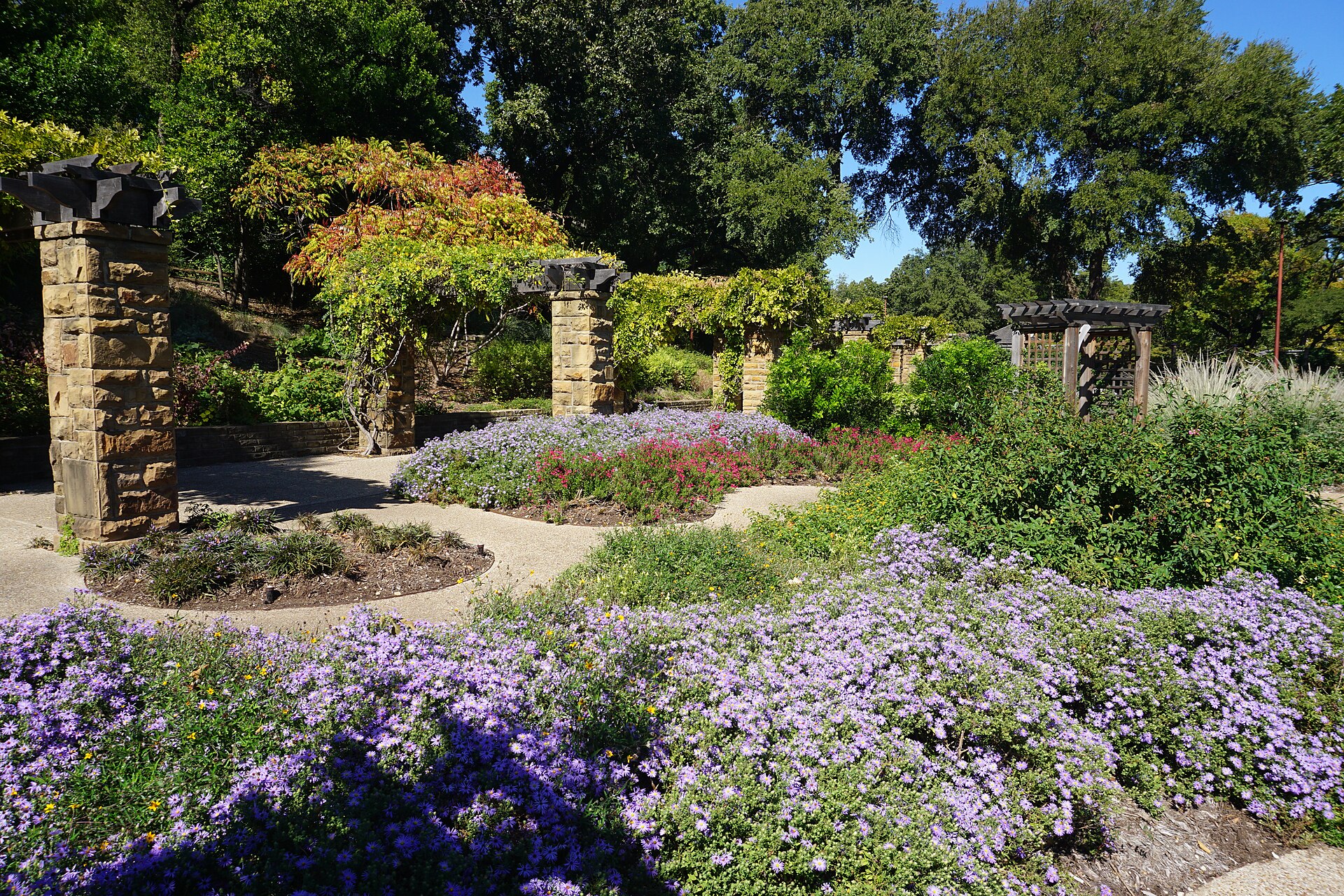 Fort Worth Botanic Garden October 2019 19 (Republic of Texas Rose Garden)