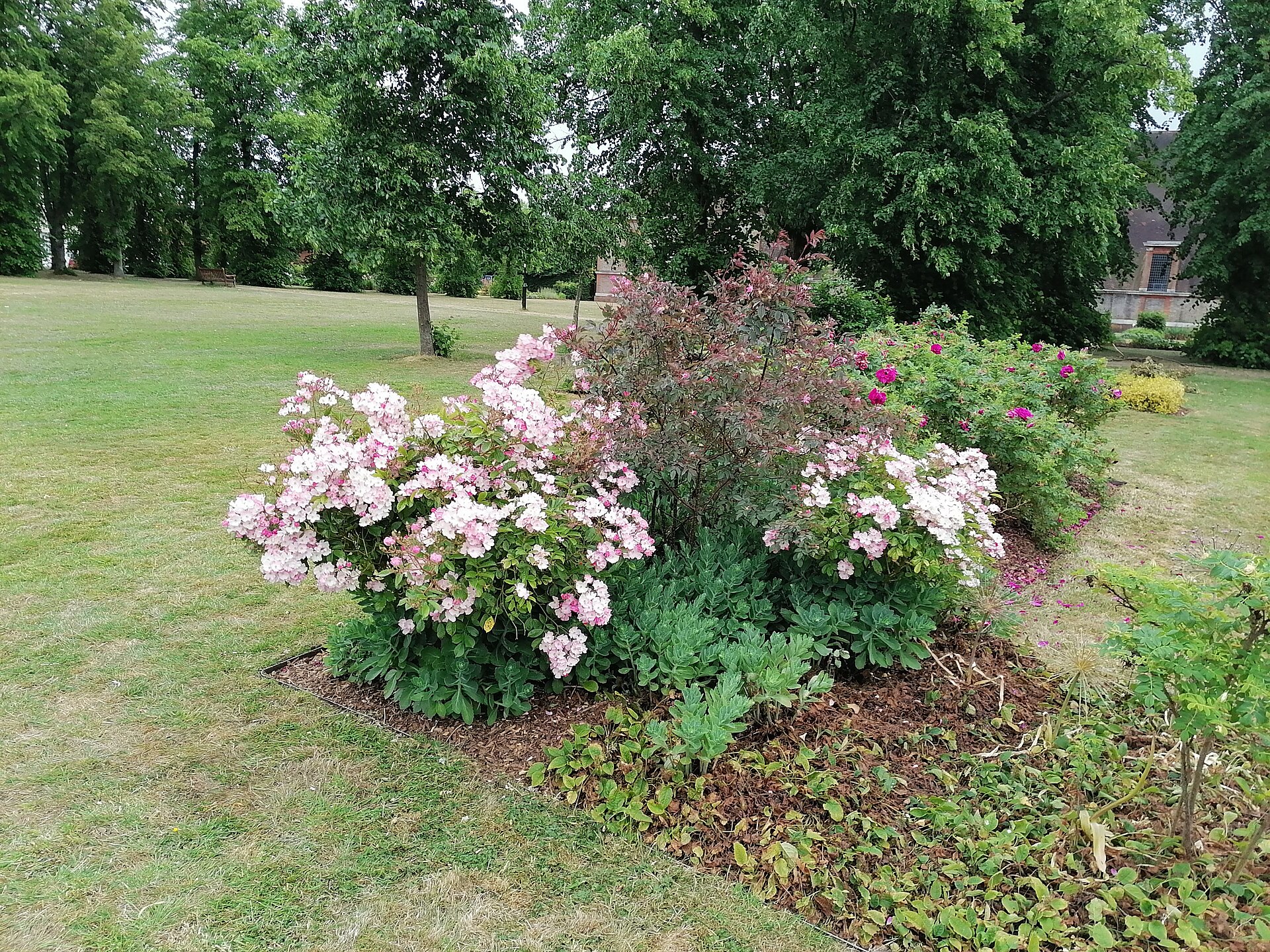 Flower bed on Central Square, Hampstead Garden Suburb   geograph.org.uk   6499155