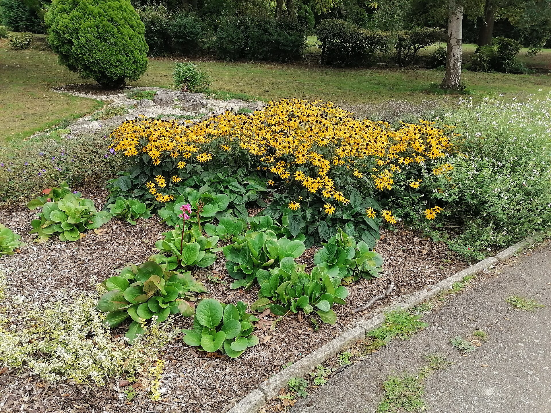 Flower bed in Northway Gardens   geograph.org.uk   6618305