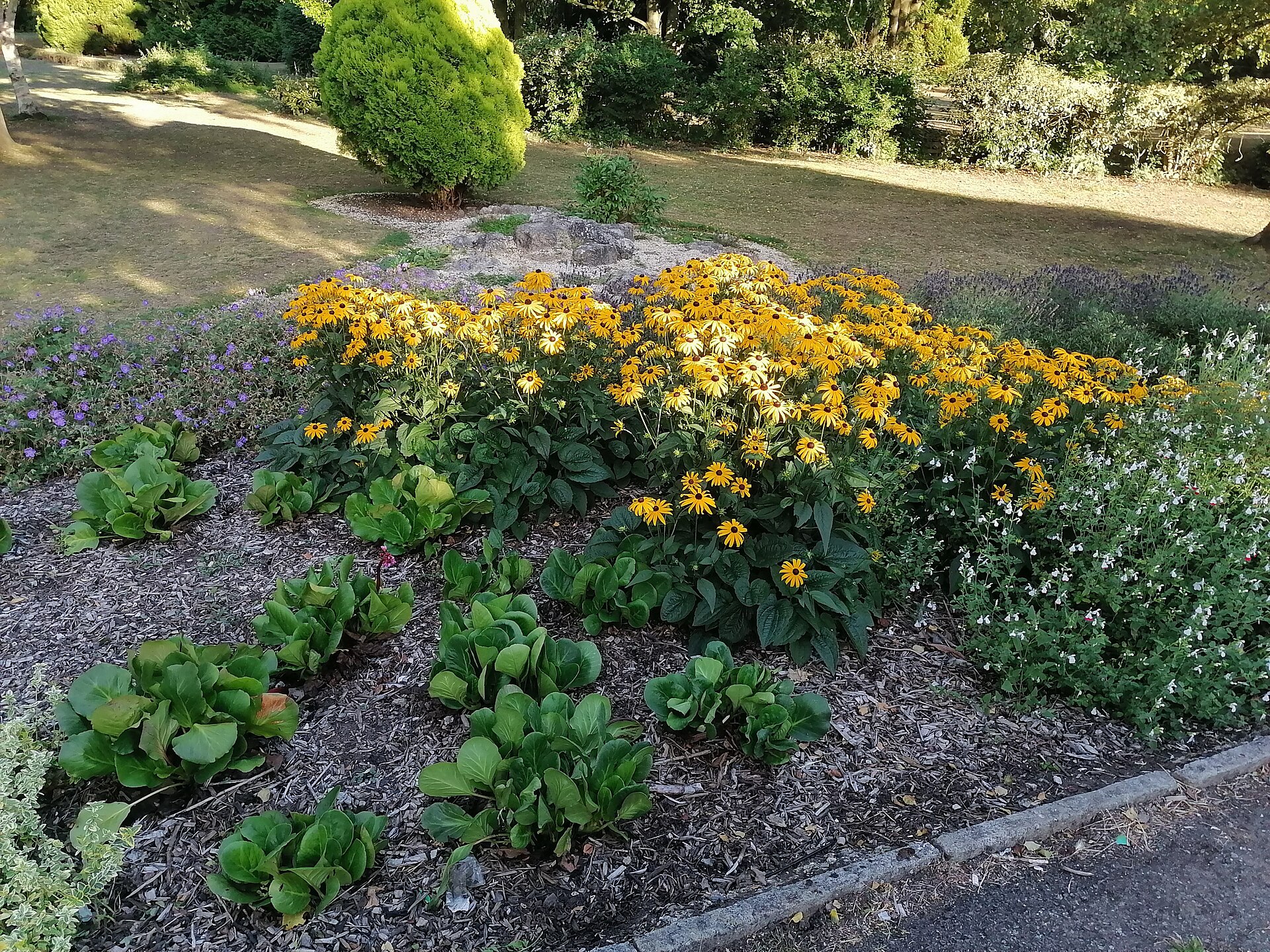 Flower bed in Northway Gardens, Hampstead Garden Suburb   geograph.org.uk   6564695