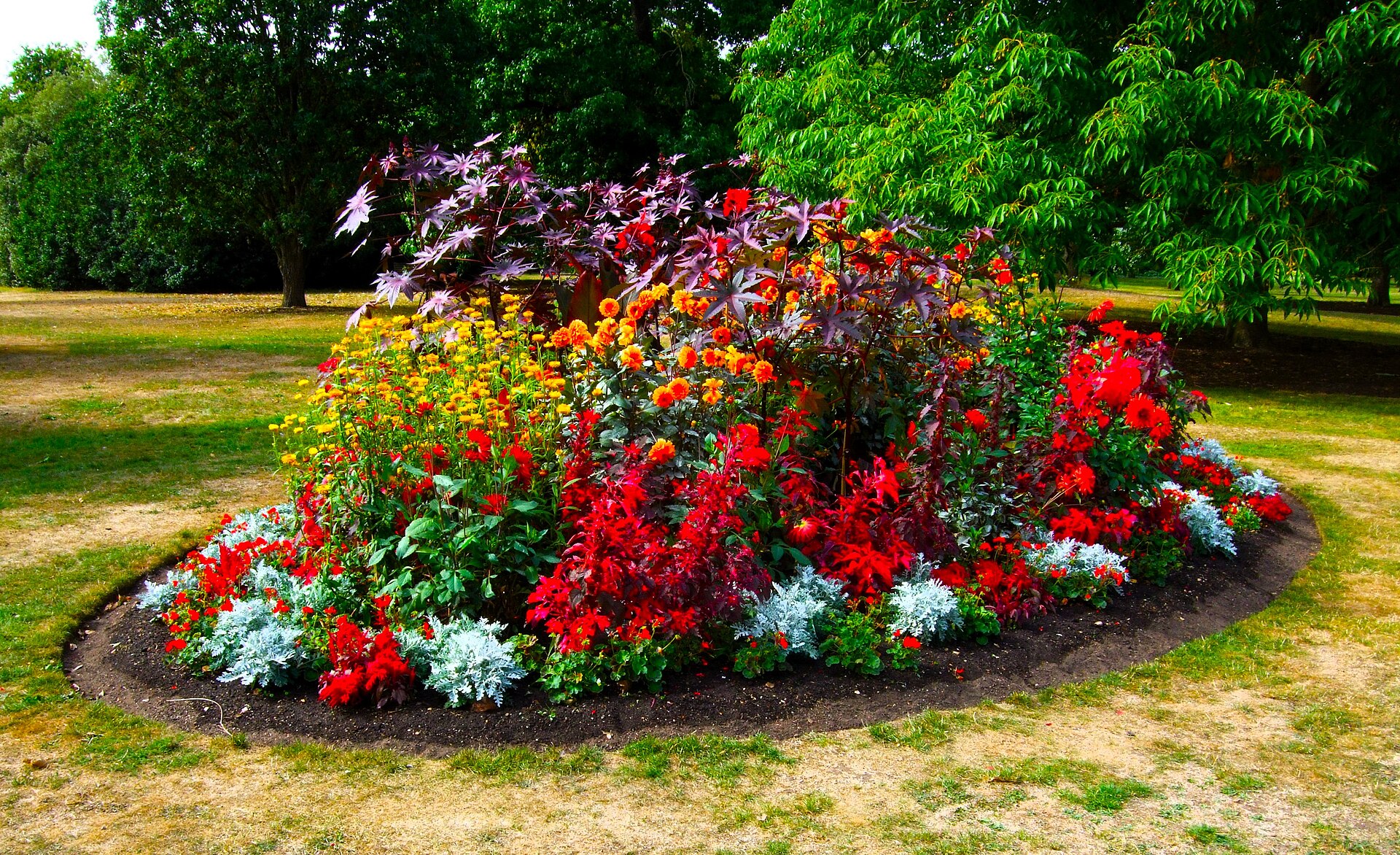 A Flower Bed in Kew Gardens   London