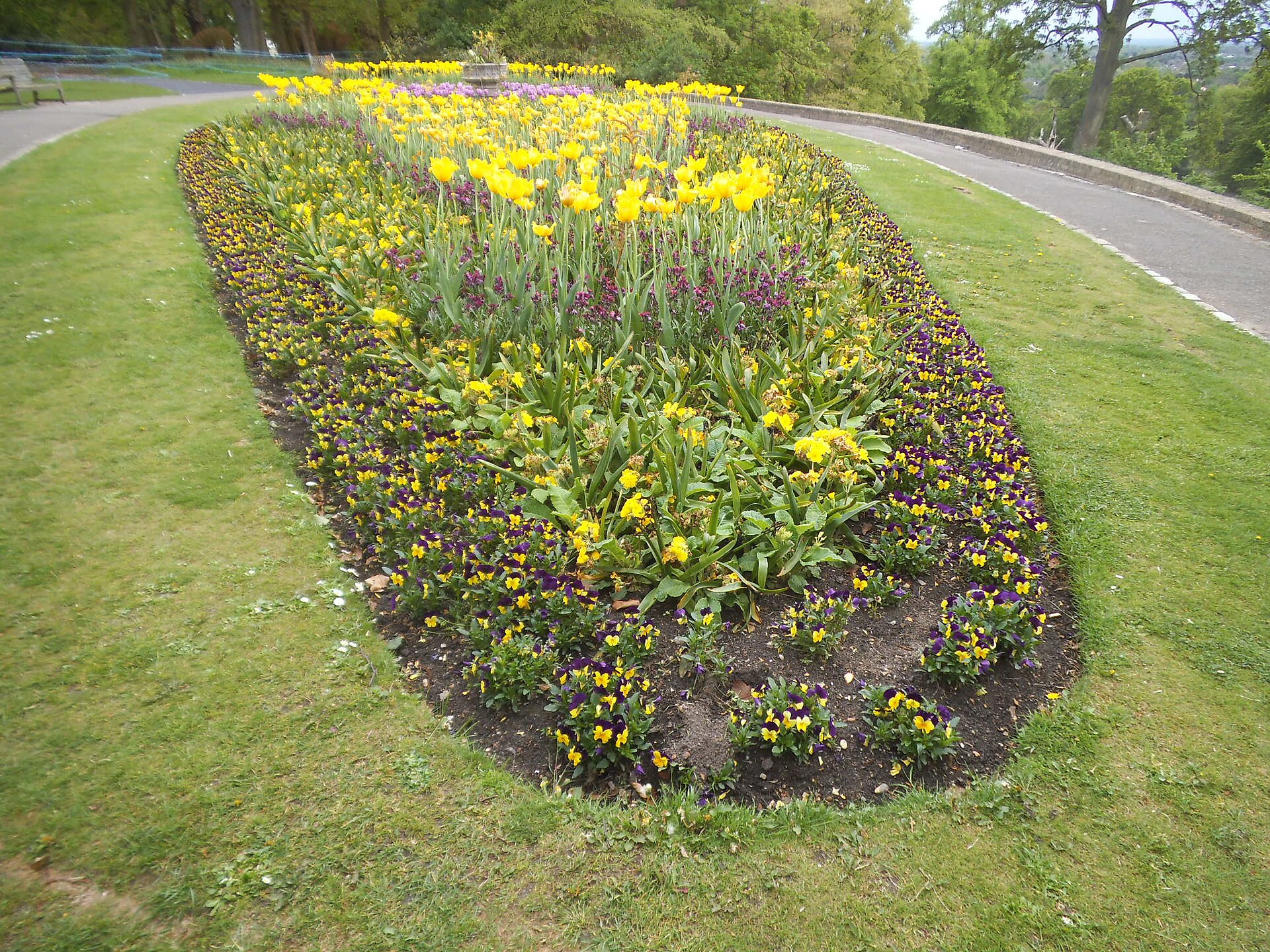 Flower bed by Pembroke Lodge   geograph.org.uk   3954270