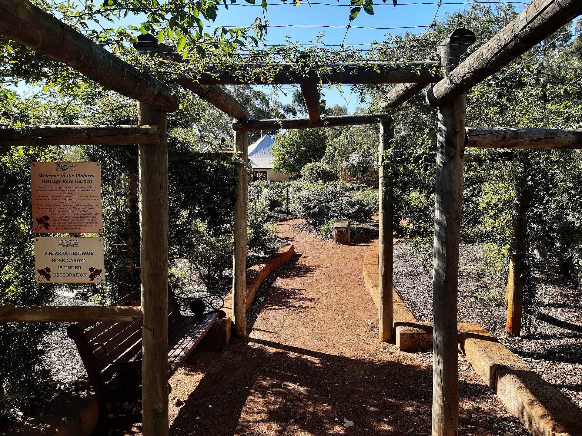 Pinjarra Heritage Rose Garden, February 2020 02
