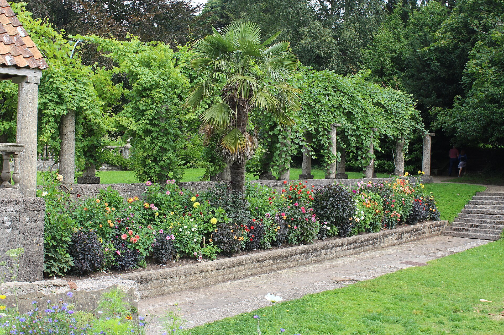Flower bed below Vine Walk   geograph.org.uk   5893836