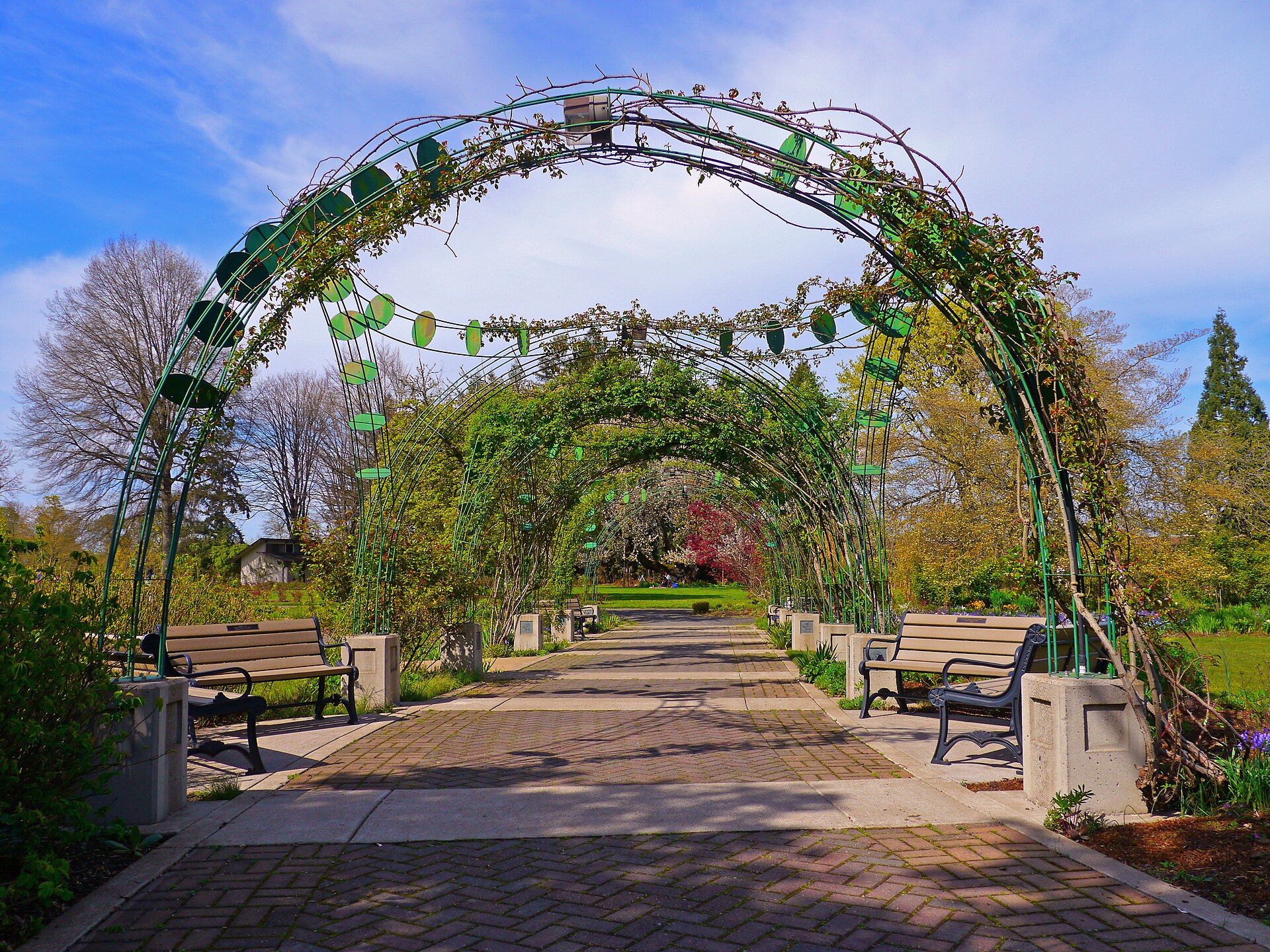 Owen Memorial Rose Garden in Eugene, Oregon