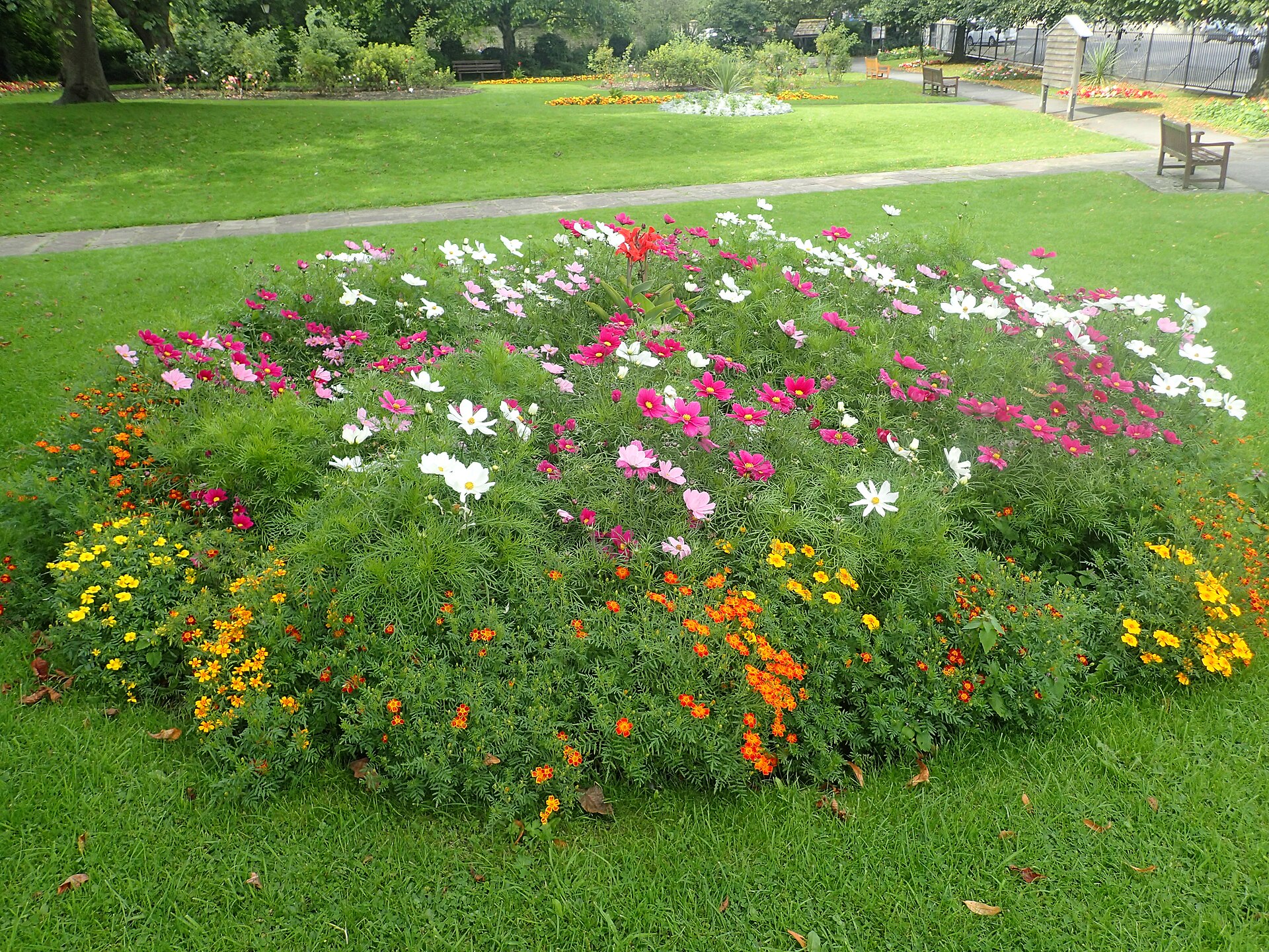 Flower bed in Friary Gardens, Richmond   geograph.org.uk   7616318