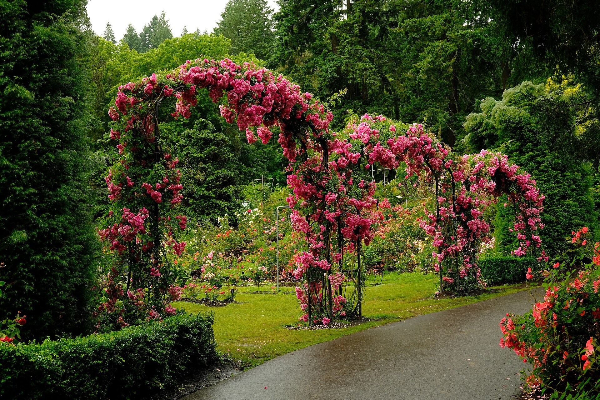 Rose Arbor Portland