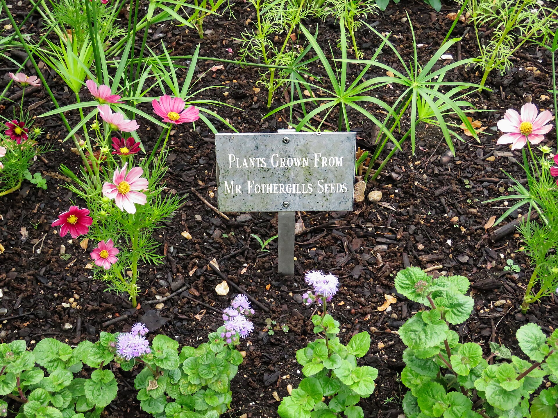 Mr Fothergill's Garden flower bed Capel Manor College Gardens Enfield London England 01